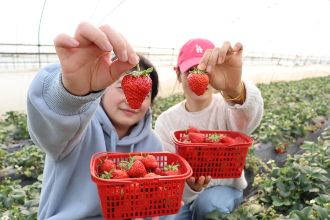 2024030802i.jpg 2024030802i.jpg